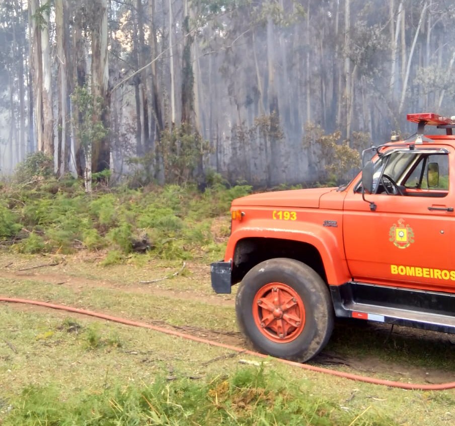 Incêndio destruiu 3 hectares de vegetação em São Jacó