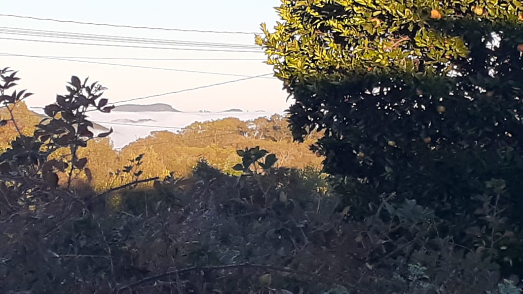 Terça-feira terá tempo aberto, com sol e vento calmo