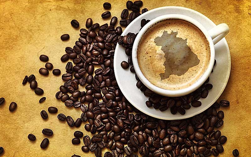 Dia Nacional do Café: celebrando a bebida que move o Brasil
