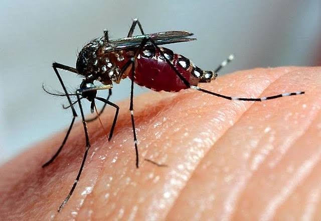 Confirmado terceiro óbito por dengue no Rio Grande do Sul em 2023