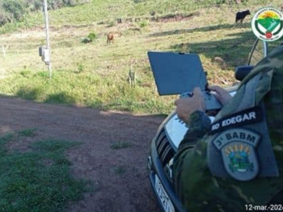 PATRAM de Vacaria constata supressão de vegetação nativa em Campestre da Serra