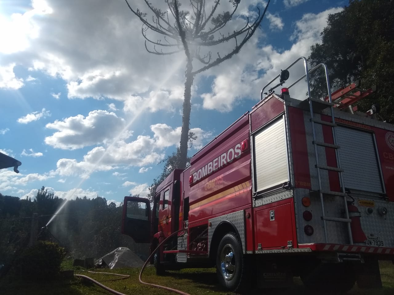 Bombeiros combatem incêndio em vegetação, em Pedras Brancas