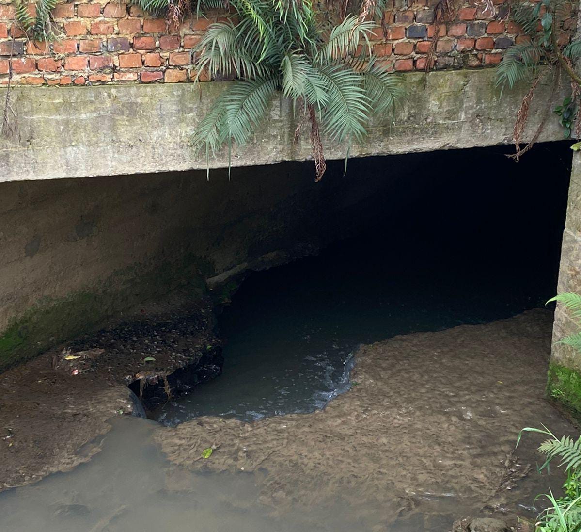 Erosão no leito do Arroio Gravatá preocupa moradores do centro