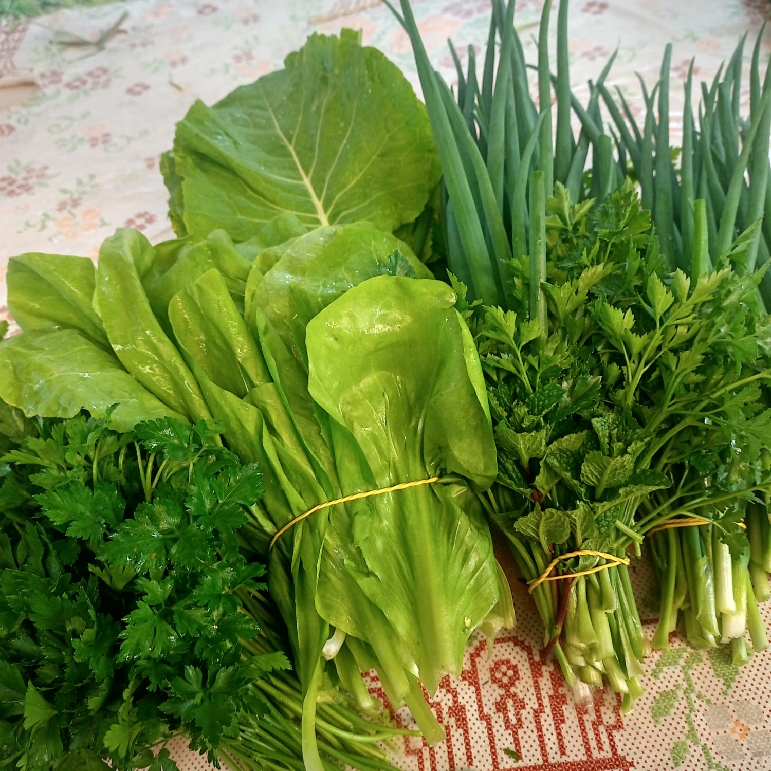 Feira da Terra irá testar coletivo rural