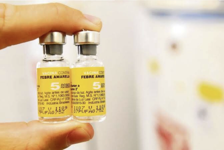Ministério da Saúde faz alerta sobre febre amarela