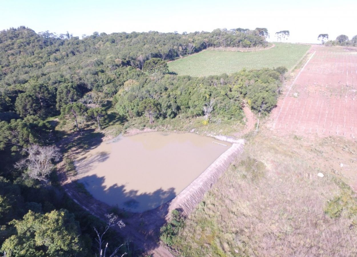 Polícia Ambiental registra crime contra a Flora em Campestre