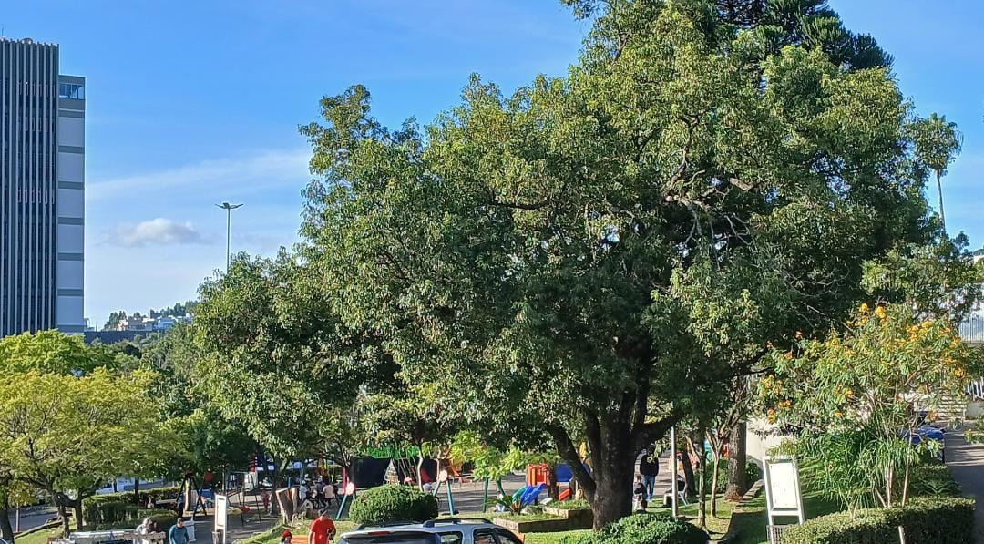 Fim de semana será de sol e elevação das temperaturas