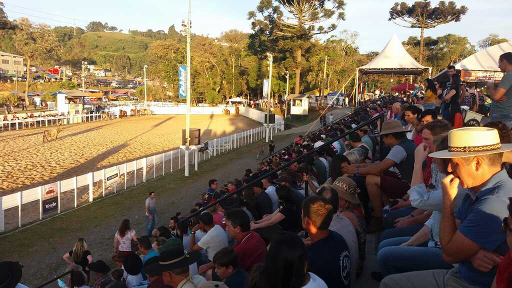 Rodeio de São Marcos distribui mais de R$ 140 mil em prêmios e reúne tradição de 4 a 7 de dezembro