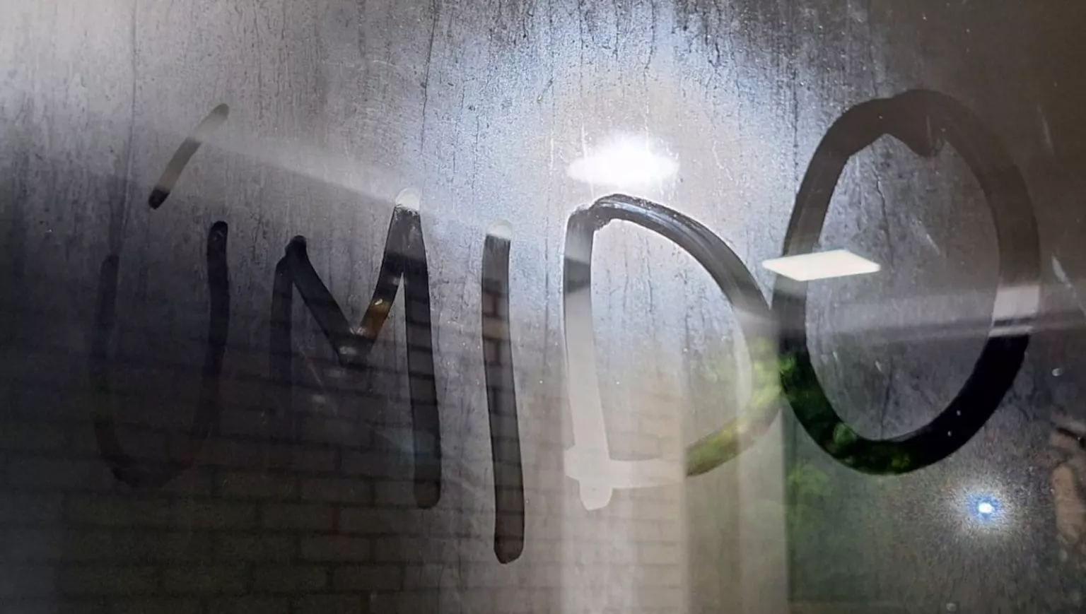 Umidade: por que está tudo molhado na minha casa?