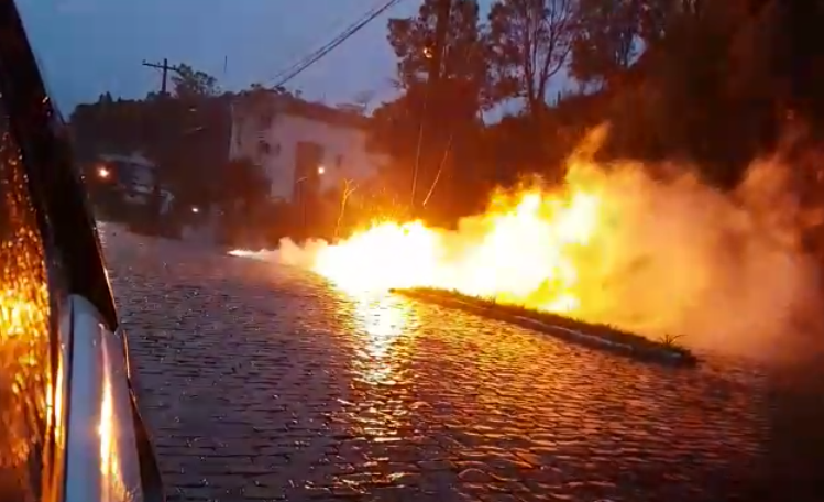 Árvore caiu sobre fios de alta tensão e deixou bairros sem luz esta tarde