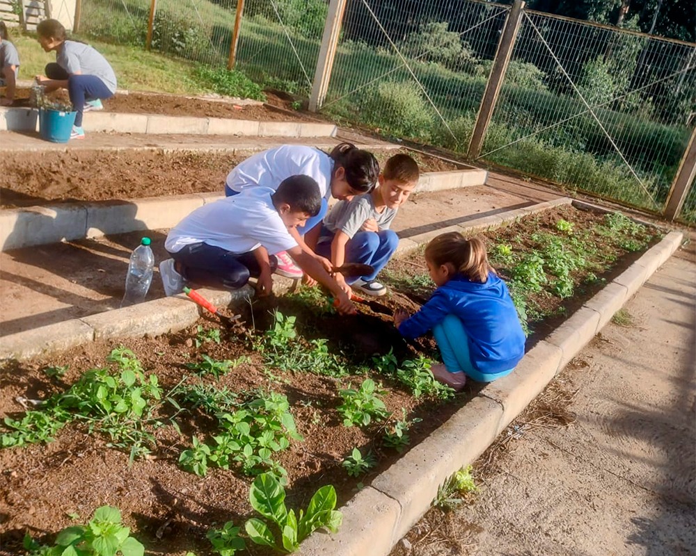 Semana do Meio Ambiente em São Marcos: educação e ações práticas engajam estudantes na preservação ambiental