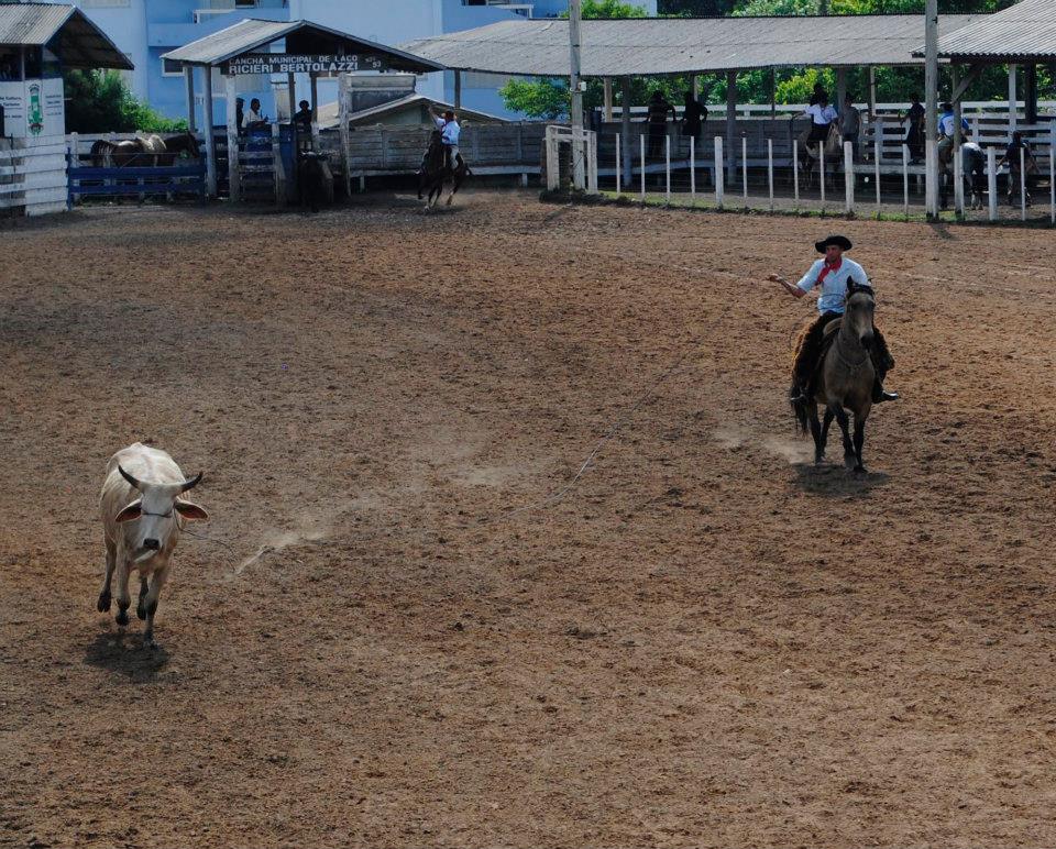Após Ação Civil Pública, uso da cancha de laço Riccieri Bertolazzi terá normas mais rígidas