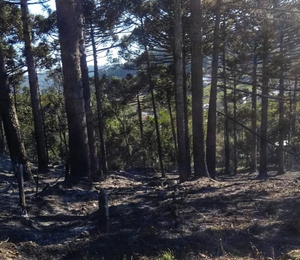 Bombeiros de Vacaria atendem incêndio em vegetação em Campestre da Serra