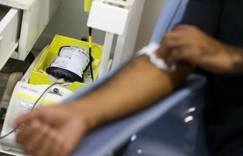 Aplicativo facilitará doações de sangue no Brasil