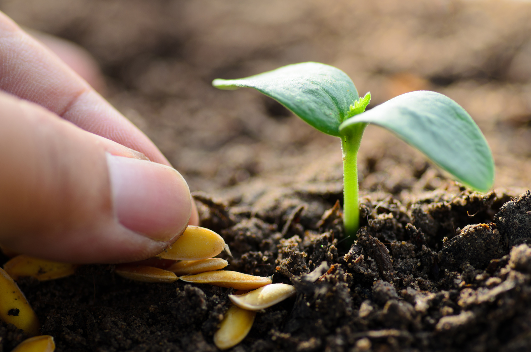 Secretaria Municipal de Agricultura abre período de inscrições para bolsas de ensino