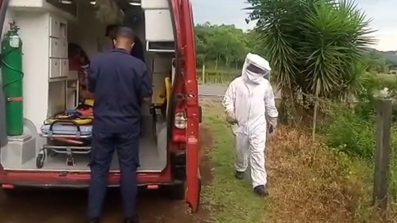 Mãe e filha foram atacadas por abelhas na Linha São Roque, em São Marcos