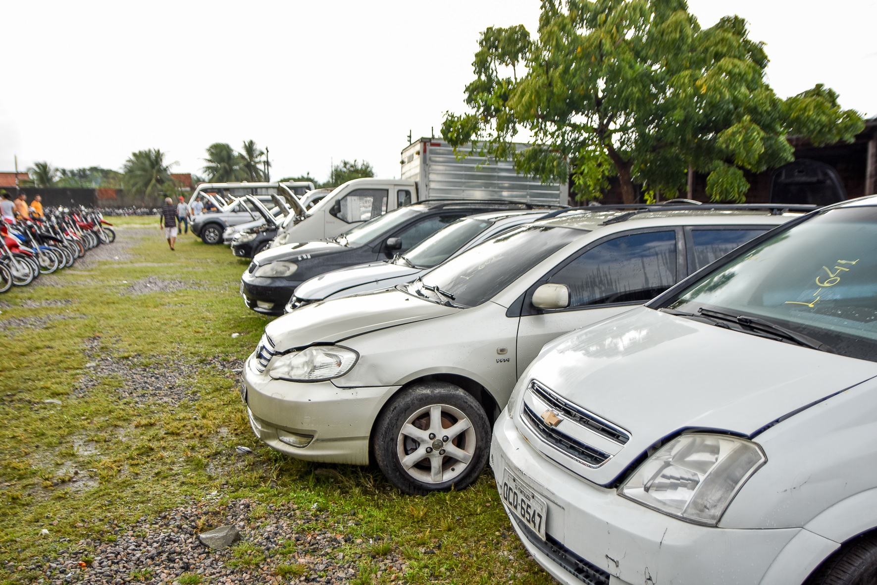DetranRS promove Leilão Virtual com 642 veículos disponíveis em São Marcos, Caxias do Sul, Antônio Prado, Flores da Cunha e Vacaria