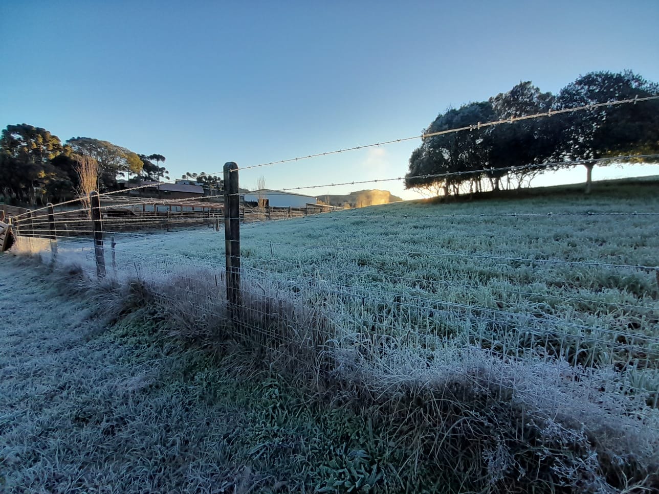 Terça-feira amanhece com frio congelante antes de dias chuvosos