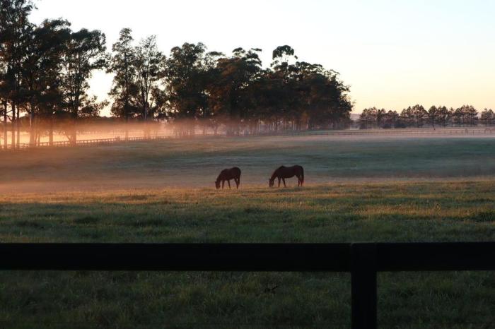 Segunda-feira deve ser de amanhecer gelado com predomínio de sol