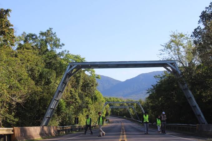 Rota do Sol tem bloqueios para ações de monitoramento da fauna em Itati