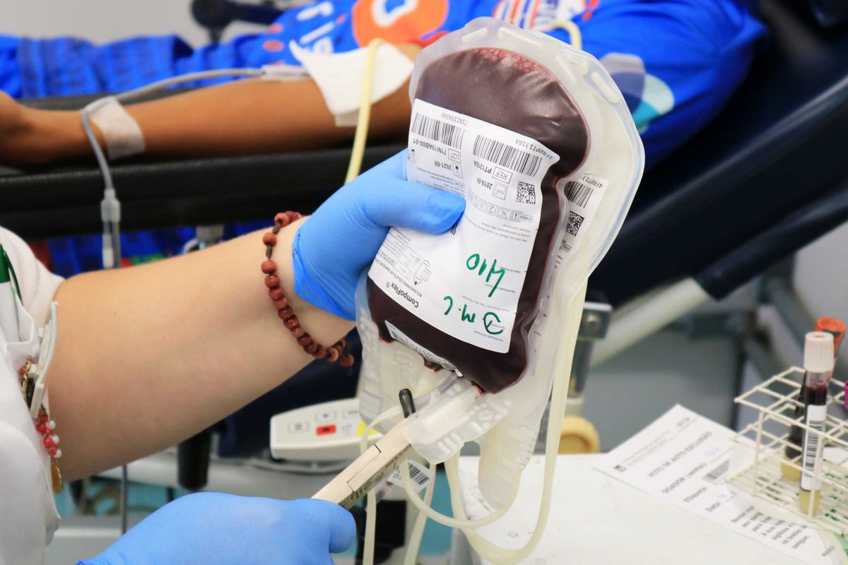 COE convida recuperados de Covid-19 para doarem plasma sanguíneo