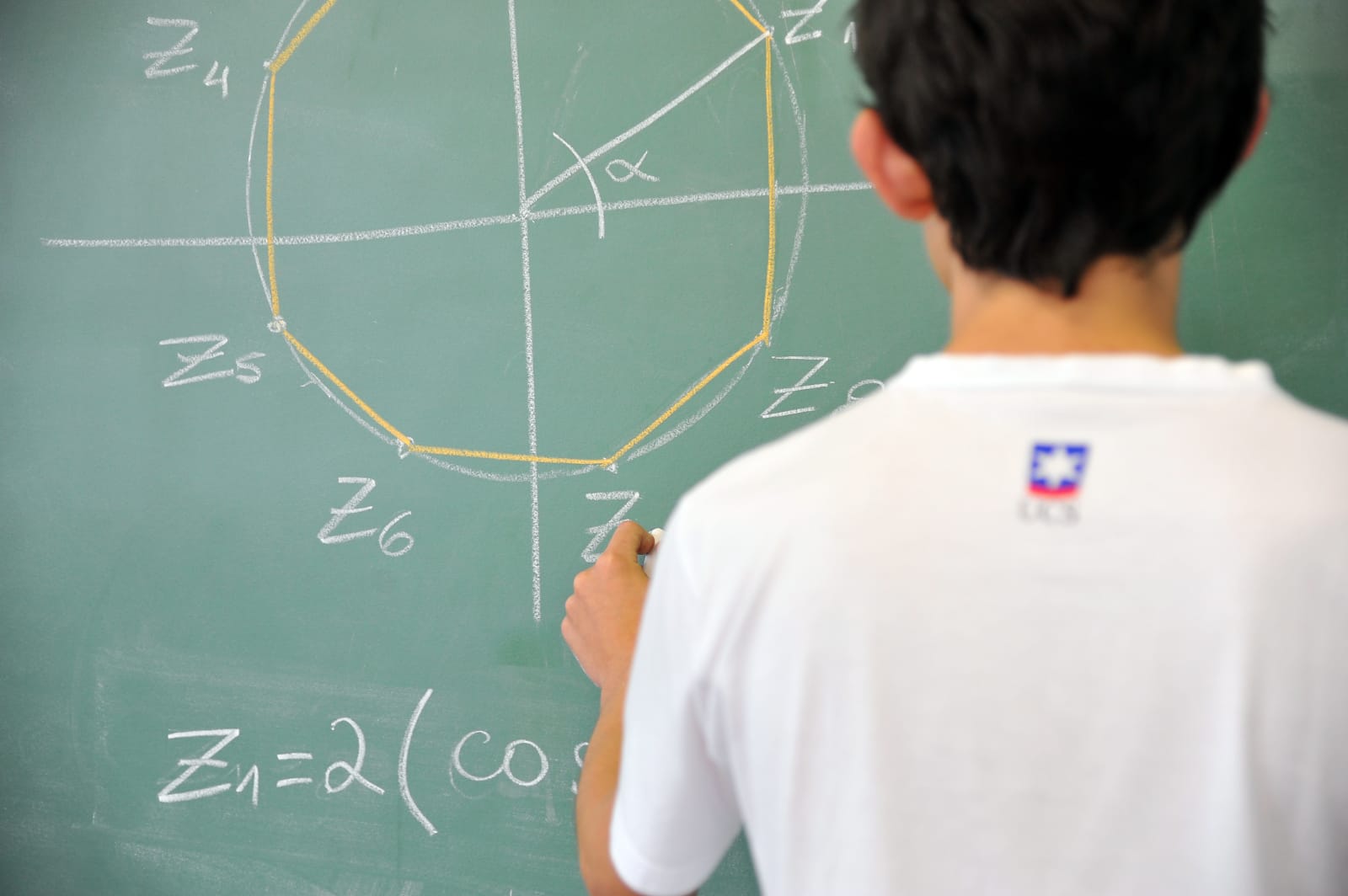 UCS oferece 400 bolsas de estudos 100% gratuitas para cursos de Licenciatura