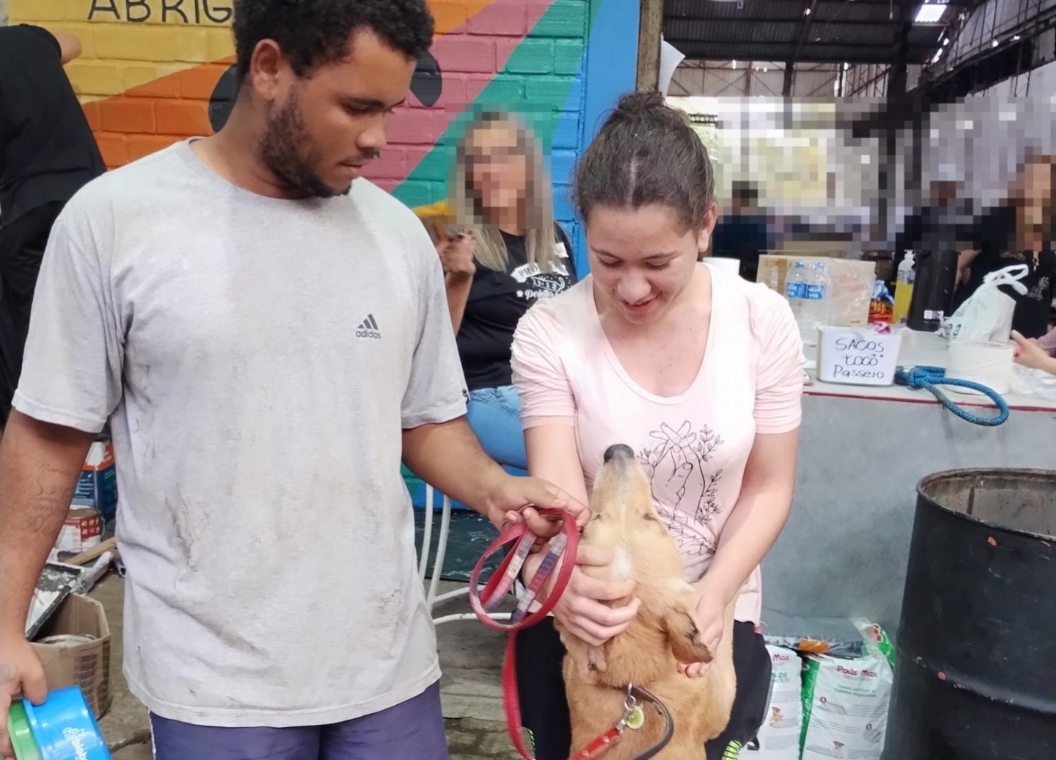 Voluntários de São Marcos buscam auxílio para cuidar de cães em Canoas