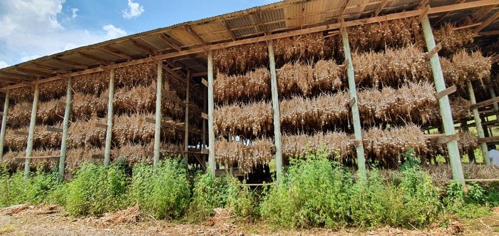 Trabalhadores foram resgatados em situação de trabalho escravo em Campestre da Serra