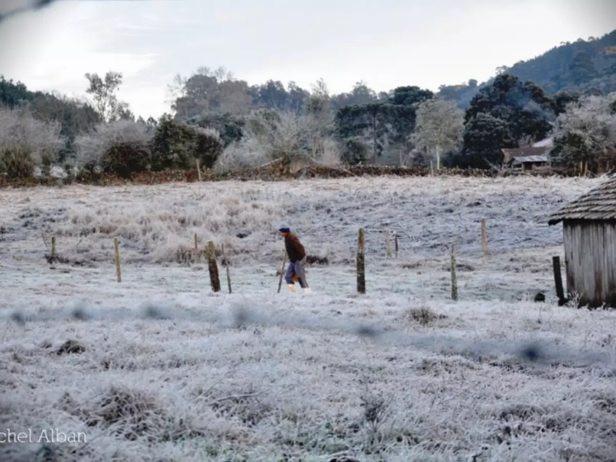 Reforço de ar polar aumenta o frio com geada forte e nova chance de neve