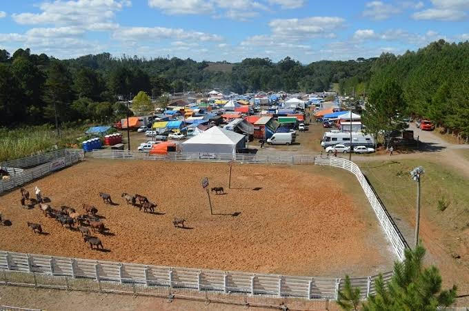 17º Rodeio Crioulo Nacional de Flores da Cunha acontece de 7 a 10 de abril