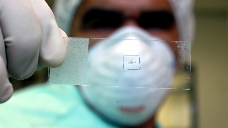 Secretaria da Saúde alerta sobre importância da busca de atendimento nos primeiros sintomas de dengue