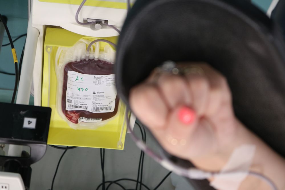 Hemocs tem recebido metade das doações de sangue necessárias para manter estoque
