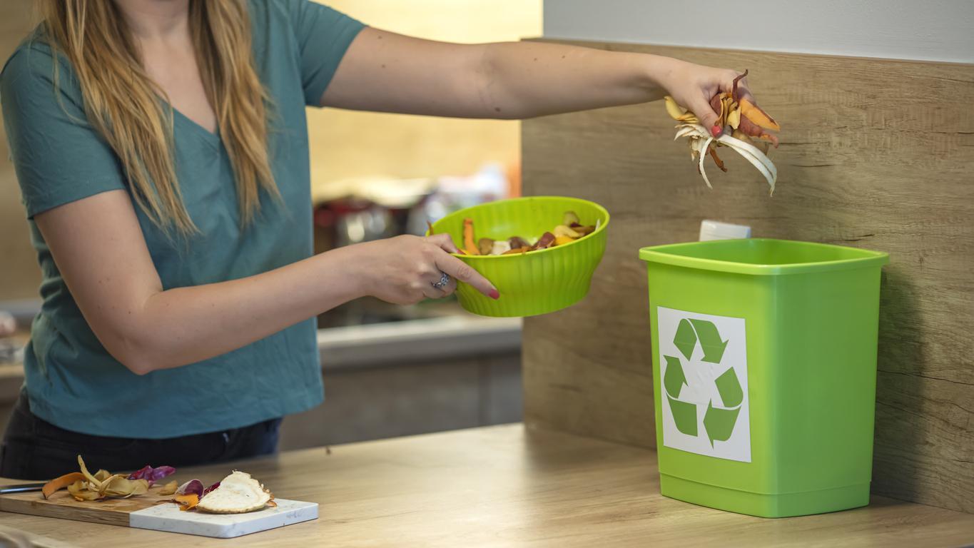 Como adotar práticas sustentáveis em casa: dicas para iniciantes