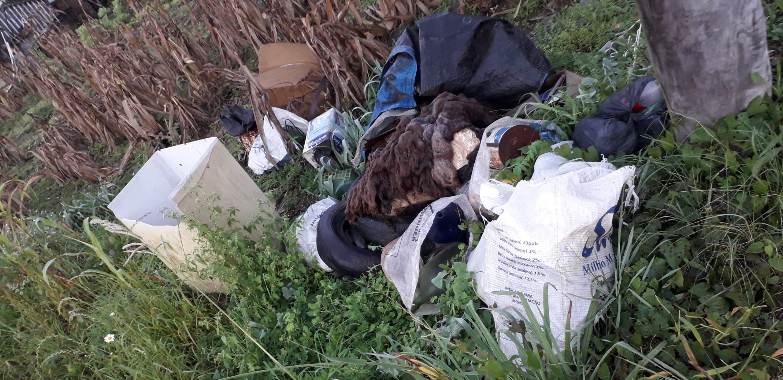 Morador do Progresso denuncia descarte irregular de entulho