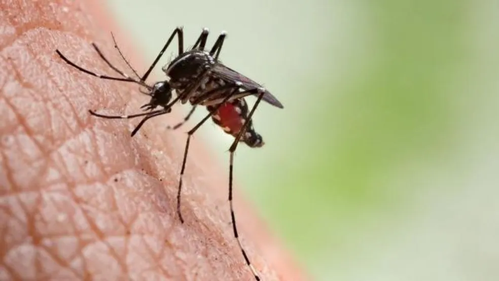 São Marcos tem três casos confirmados de dengue no sistema público de saúde
