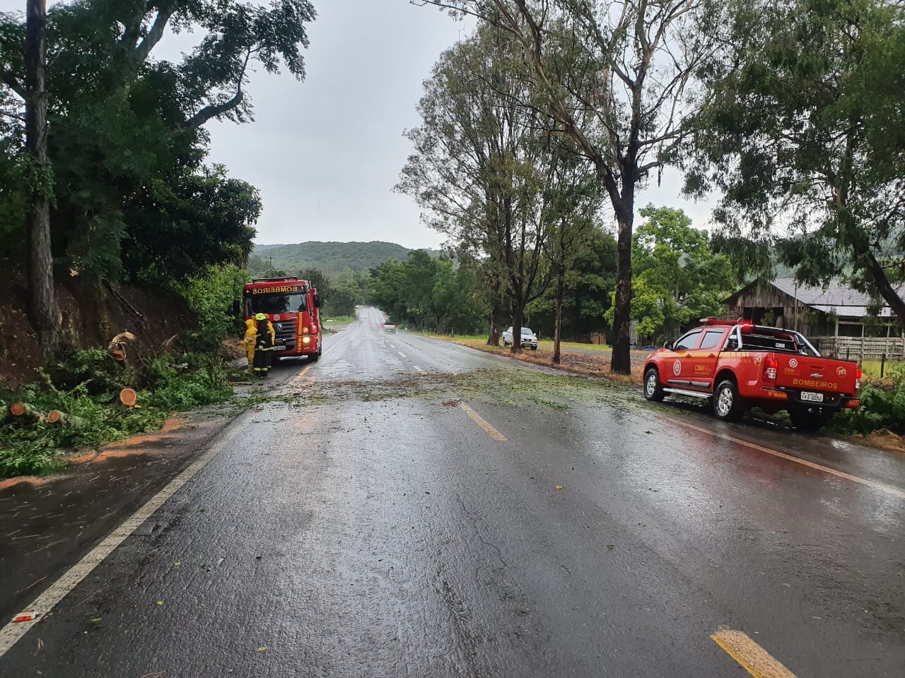 Bombeiros registraram queda de árvore na BR-116