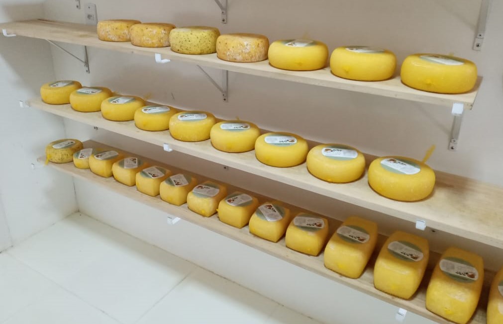 Queijo Artesanal Serrano de Bom Jesus participará de concurso estadual