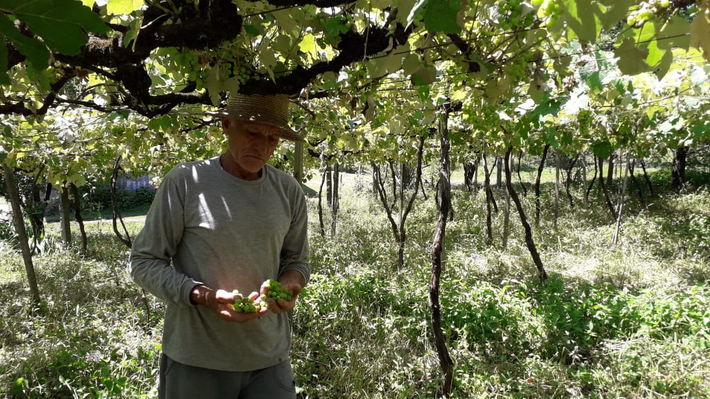 Agricultura tem perda estimada em R$ 15 milhões e produtor alerta para consequências a longo prazo