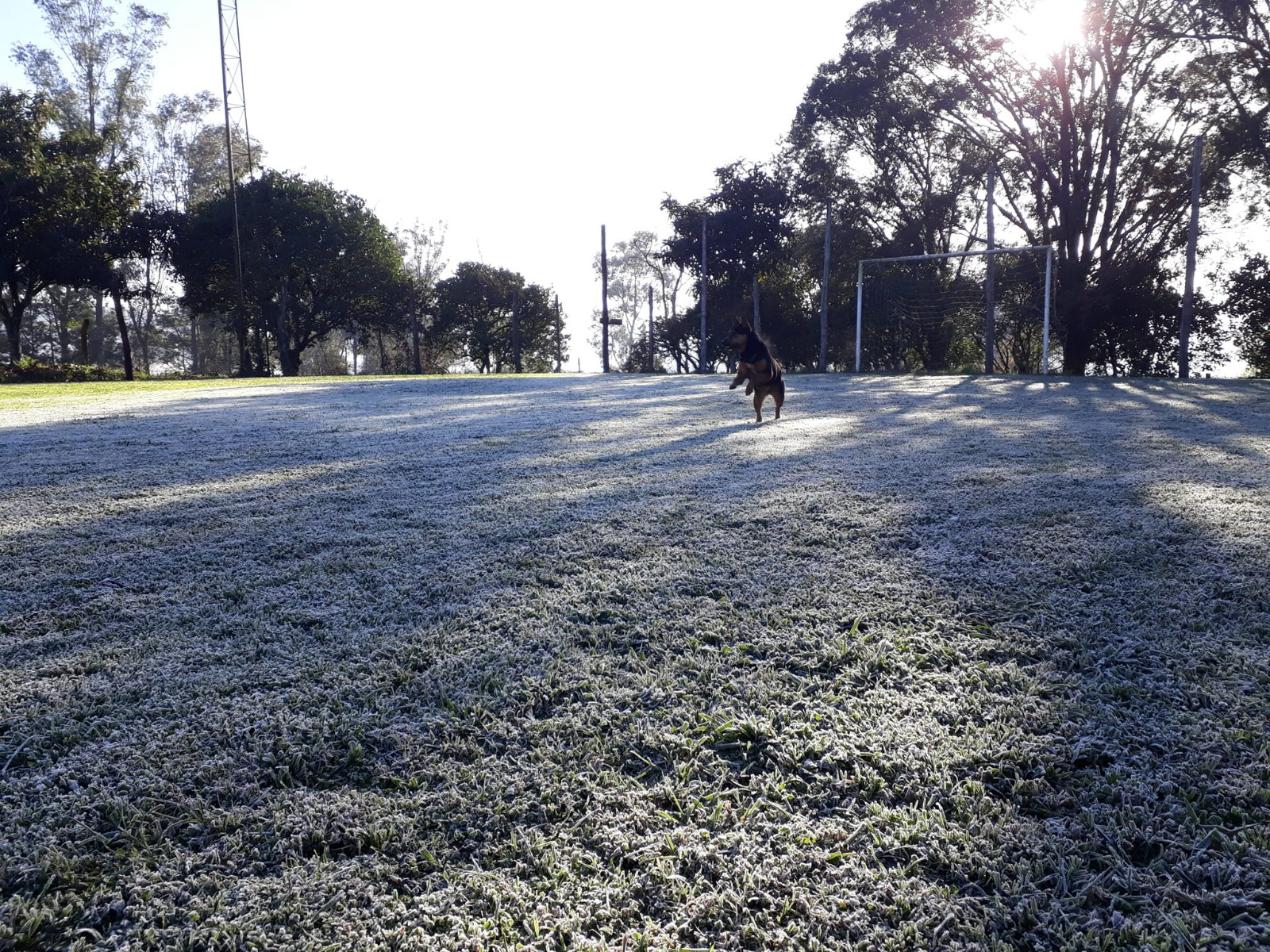 Frio segue intenso e quarta-feira vai começar gelada outra vez