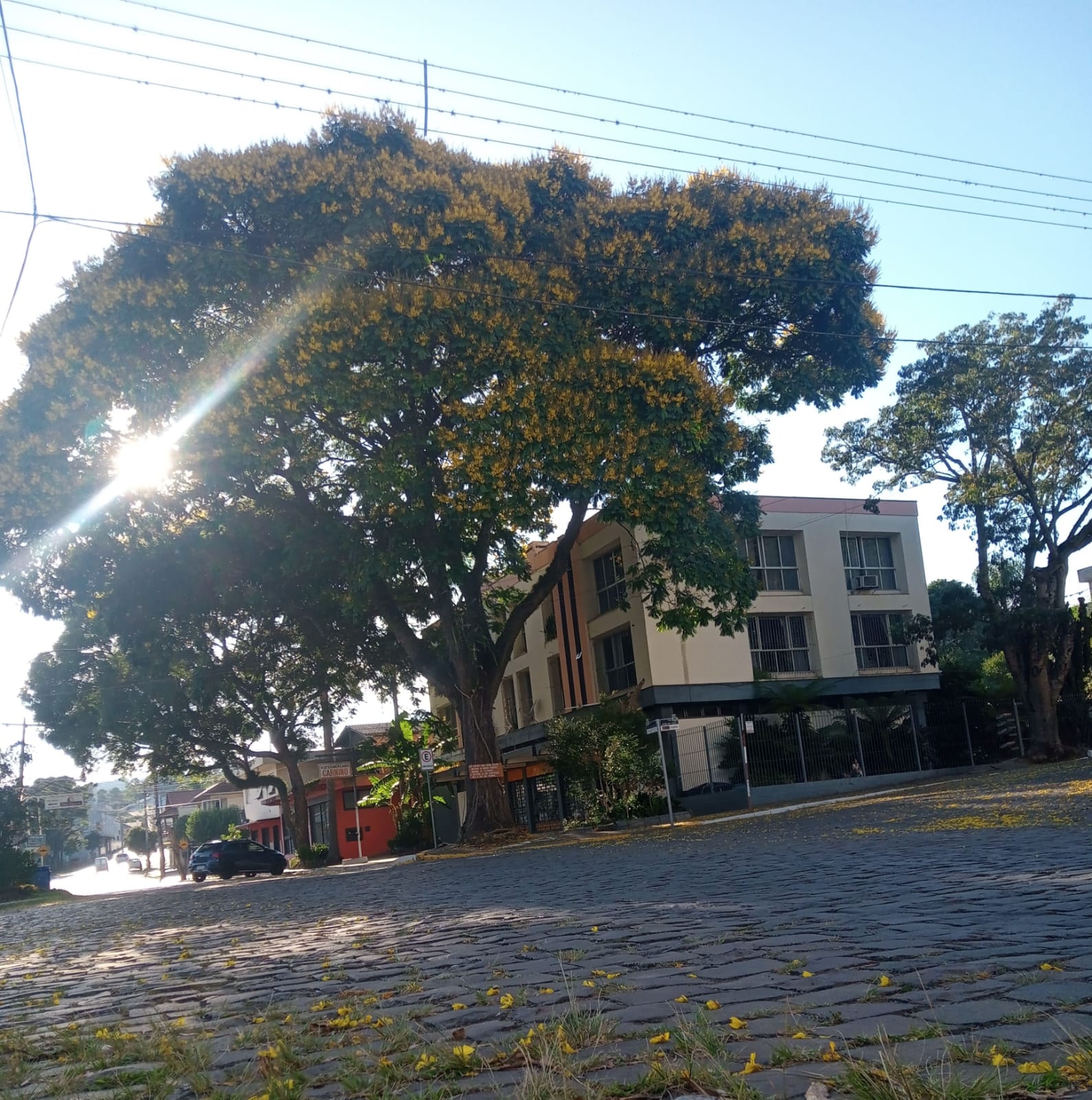 Sol predomina no território gaúcho nesta quarta e o calor será intenso