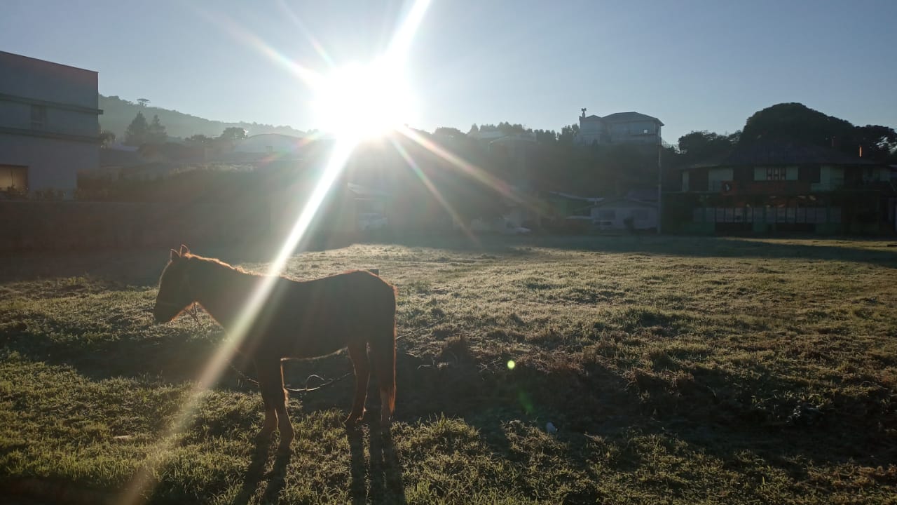 Frio não vai dar trégua até a metade do mês e voltará a aumentar