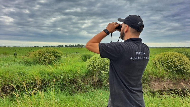 Rio Grande do Sul confirma primeiro foco de gripe aviária em ave silvestre encontrada em Rio Pardo