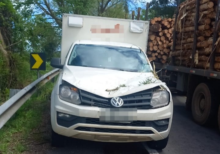 Árvore que caiu sobre a BR 116, em São Marcos, causou danos em veículo