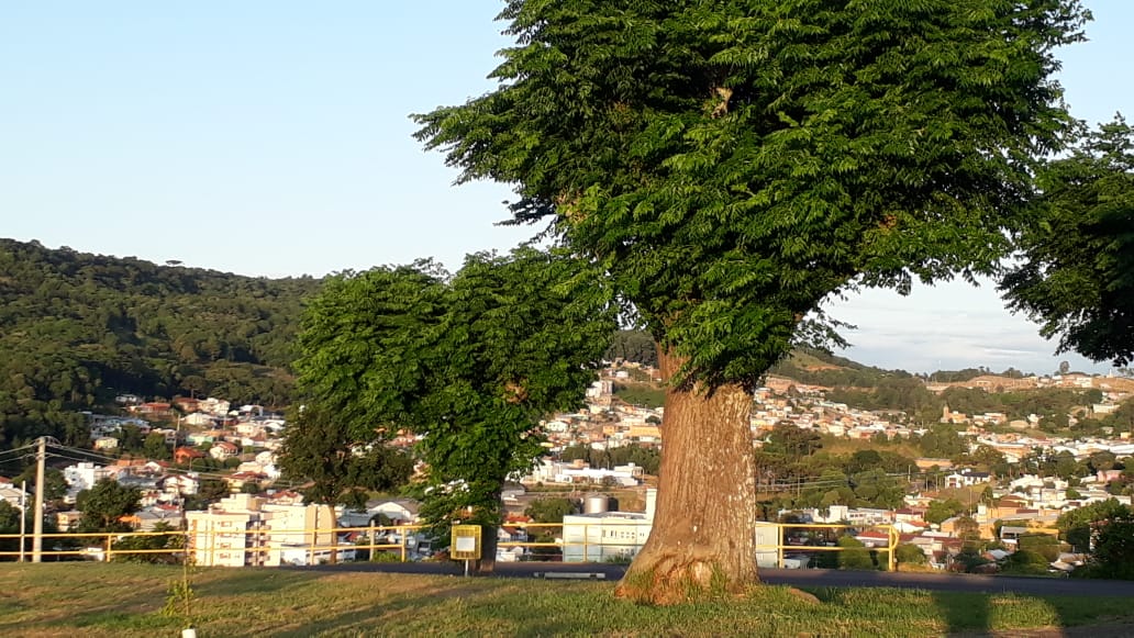 Domingo terá predomínio de sol