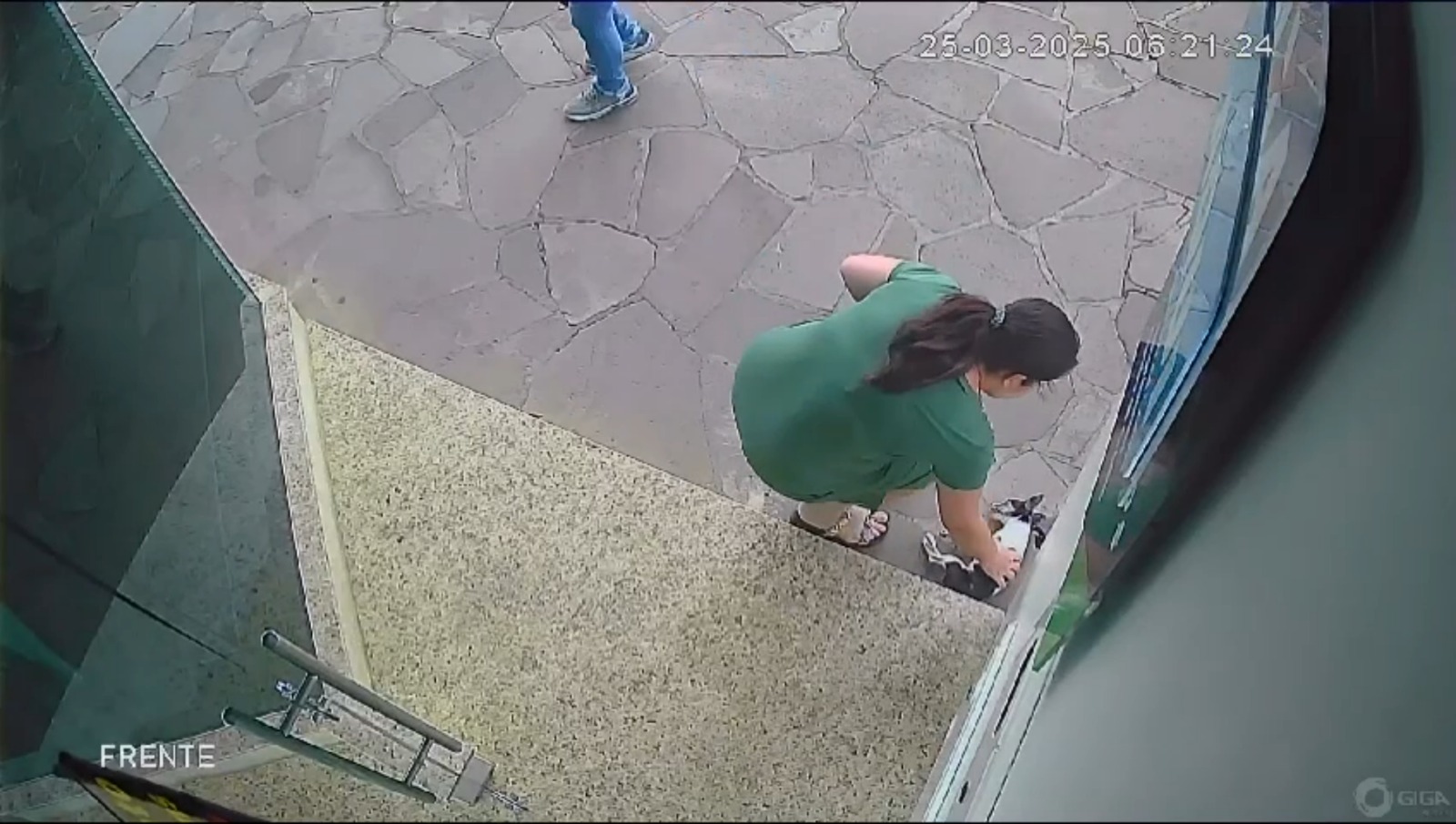 Imagens de segurança revelam detalhes sobre a morte da cachorrinha Jady em São Marcos