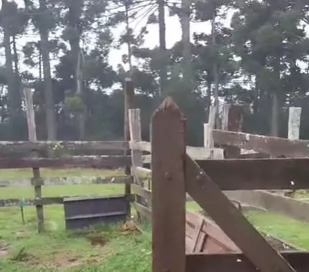 Sul tem primeira neve do ano; frio avança pelo Brasil com geada