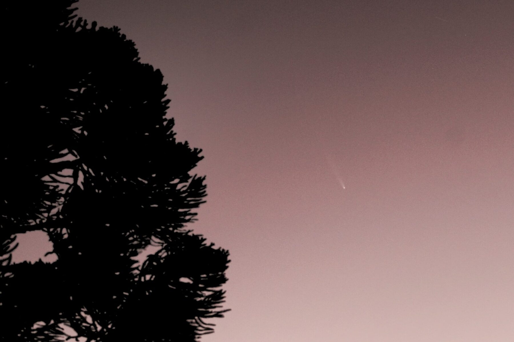 Cometa do Século brilhou no céu de Criúva na manhã deste domingo