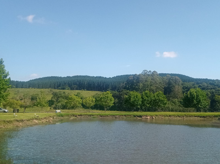 Rio Grande do Sul terá calor e pouca chuva nos próximos sete dias