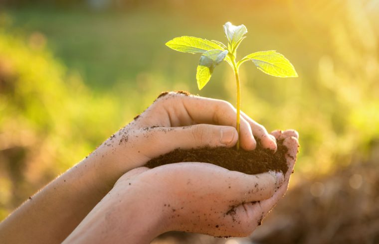 Meio ambiente, inovação e sustentabilidade: pequenas ações, grandes resultados no ambiente escolar