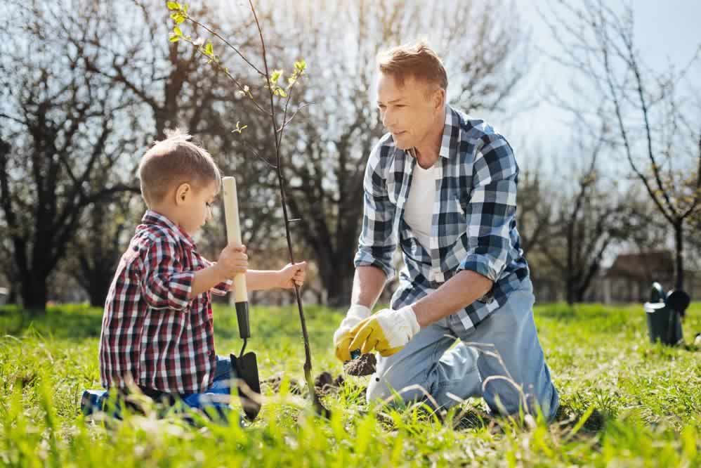 Influencia da infância na vida adulta